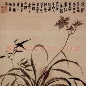 金农《花卉册》国画花鸟写意作品图片赏析