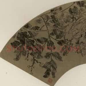 清代 王武《牡丹》国画花鸟作品图片赏析