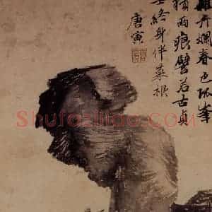 明代 唐寅《杂卉烂春图》国画花鸟作品图片赏析