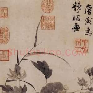 明代 唐寅《临水芙蓉图》国画花鸟作品图片赏析