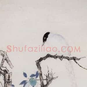 张大千《青梅白羽图轴》国画花鸟作品图片赏析
