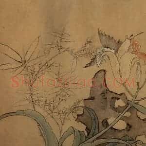 1651年 陈洪绶《花鸟草虫图卷》国画花鸟工笔作品图片赏析