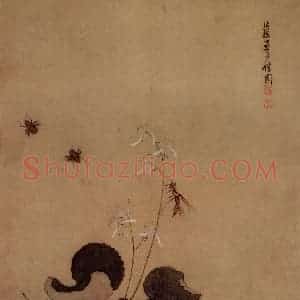 1633年 陈洪绶《花鸟图册》国画花鸟工笔作品图片赏析