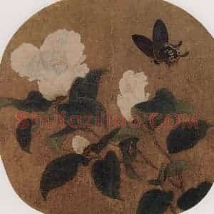 宋代 无款《山茶蝴蝶图页》国画花鸟工笔作品图片赏析