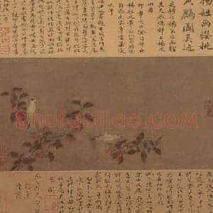 宋代 无款《樱桃黄鹂图页》国画花鸟工笔作品图片赏析