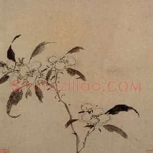 明代 李流芳《山水花卉册》国画花鸟写意作品图片赏析