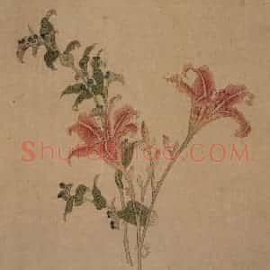 明代 王维烈《花卉册》国画花鸟工笔作品图片赏析