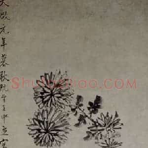 明代 王中立《双猫菊石图轴》国画花鸟工笔作品图片赏析