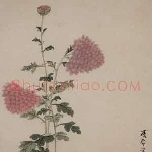 明代 项圣谟《花卉册》国画花鸟写意作品图片赏析