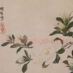 明代 项圣谟《花卉册》国画花鸟写意作品图片赏析