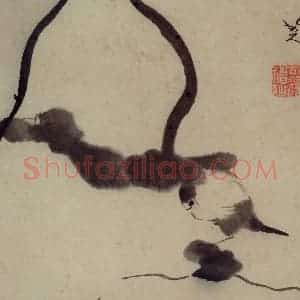 清代 朱耷《杂画册》国画花鸟写意作品图片赏析