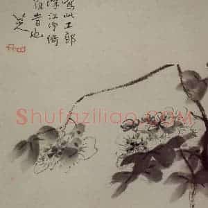 清代 朱耷《杂画册》国画花鸟写意作品图片赏析