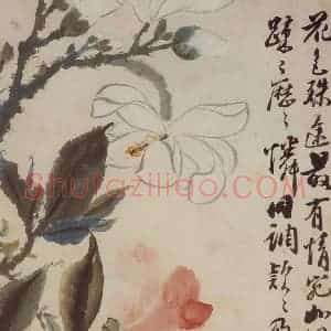 清代 石涛《花卉册》国画花鸟写意作品图片赏析
