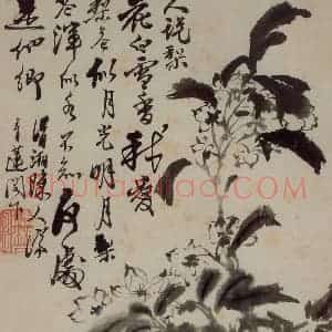 清代 石涛《花卉册》国画花鸟写意作品图片赏析