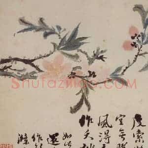 清代 石涛《花卉册》国画花鸟写意作品图片赏析