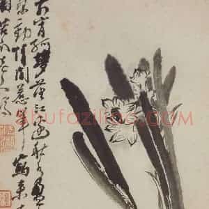 清代 石涛《花卉册》国画花鸟写意作品图片赏析