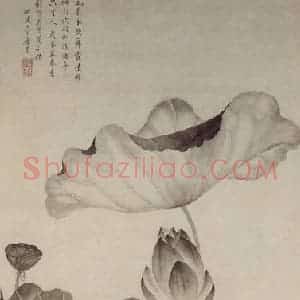 清代 唐苂《荷花游鱼图轴》国画花鸟工笔作品图片赏析