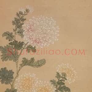 清代 恽寿平《花卉册》国画花鸟工笔作品图片赏析