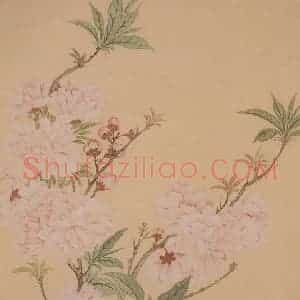 清代 恽寿平《花卉册》国画花鸟工笔作品图片赏析