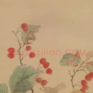 清代 恽寿平《花卉册》国画花鸟工笔作品图片赏析