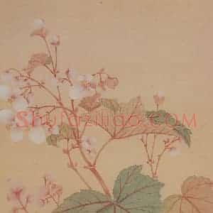 清代 恽寿平《花卉册》国画花鸟工笔作品图片赏析