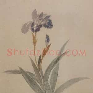 清代 杨晋《花卉》国画花鸟写意作品图片赏析