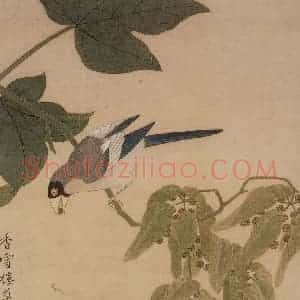 清代 恽冰《花卉册》国画花鸟工笔作品图片赏析