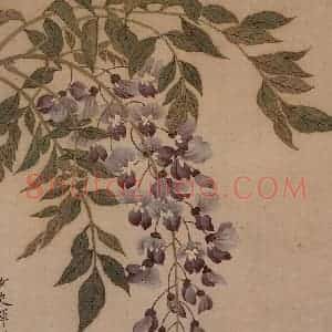 清代 恽冰《花卉册》国画花鸟工笔作品图片赏析