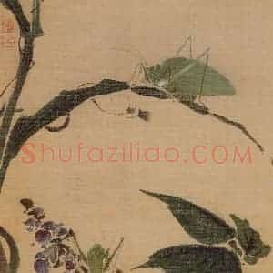 清代 袁耀《花卉册》国画花鸟兼工带写作品图片赏析