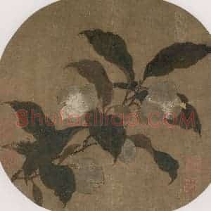 宋代 无款《夜合花图页》国画花鸟工笔作品图片赏析