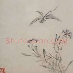 清代 黄慎《花鸟草虫册》国画花鸟写意作品图片赏析