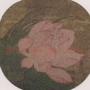 宋代 无款《荷花图页》国画花鸟工笔作品图片赏析