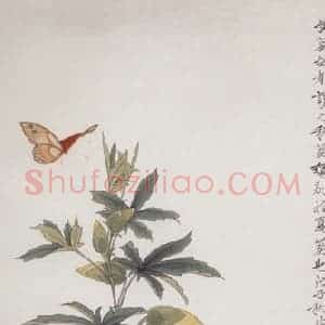 1948年 于非闇《黄葵》国画花鸟工笔作品图片赏析