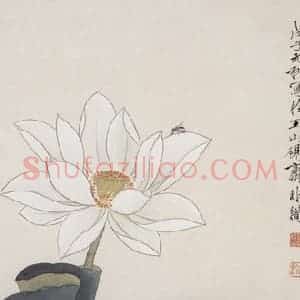 1948年 于非闇《荷花》国画花鸟工笔作品图片赏析