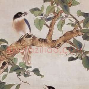 田世光《双膝图》国画花鸟工笔作品图片赏析
