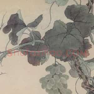 张其翼《葡萄红雀》国画花鸟工笔作品图片赏析