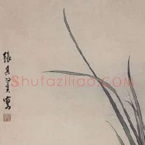 张其翼《双鹅图》国画花鸟工笔作品图片赏析