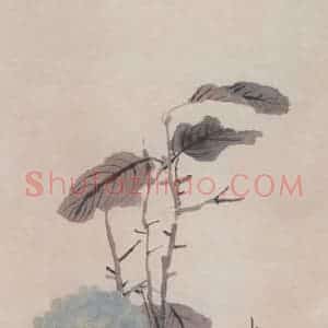 不详 任熊《绣球》国画花鸟画写意作品图片赏析
