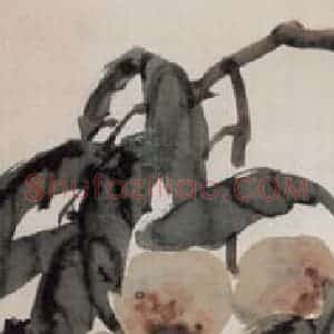 不详 陈师曾《花卉四条屏》国画花鸟作品图片赏析