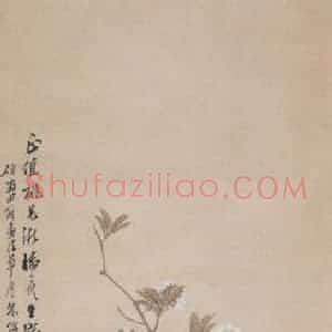 1881年 朱偁《花鸟屏》国画花鸟画作品图片赏析