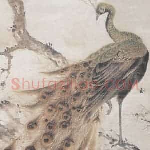 高奇峰《孔雀》国画花鸟作品图片赏析