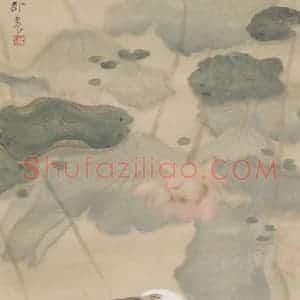 1961年 苏卧农《莲影白鹭》国画花鸟作品图片赏析