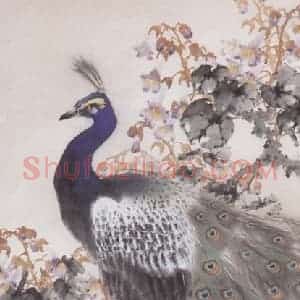 1954年 赵少昂《桐花孔雀》国画花鸟作品图片赏析