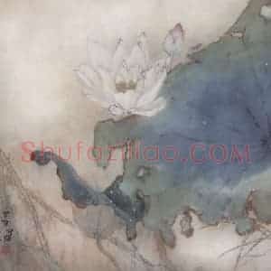 杨善深《荷花》国画花鸟作品图片赏析