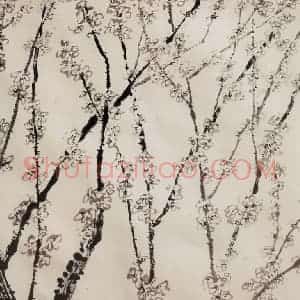 1984年 庞薰琴《梅花》国画花鸟作品图片赏析