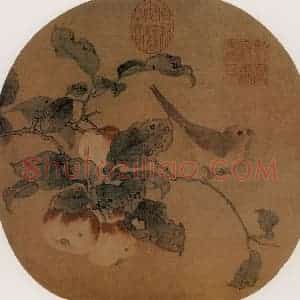 宋代 夫名《苹婆山鸟图》国画花鸟作品图片赏析