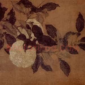 宋代 夫名《香实垂金图》国画花鸟作品图片赏析