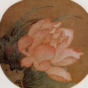 宋代 夫名《荷花图》国画花鸟作品图片赏析