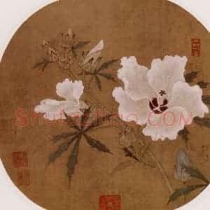 宋代 夫名《秋葵图》国画花鸟作品图片赏析