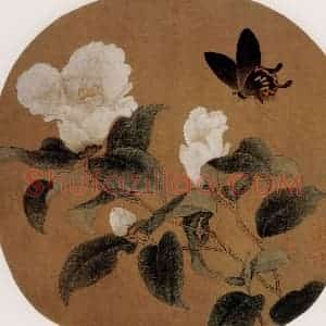 宋代 夫名《茶花蝴蝶图》国画花鸟作品图片赏析